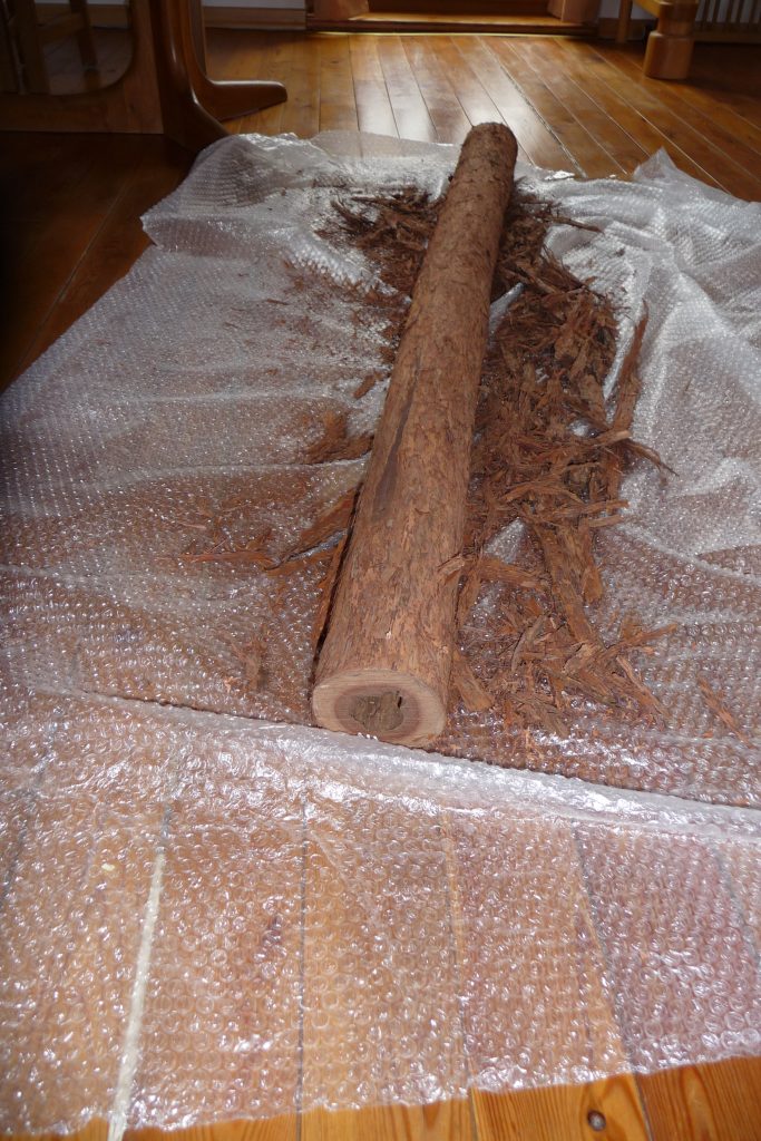 Dideridoo auf dem Boden der Erlenküche auf einer Plastikfolie mit Hobelspäne